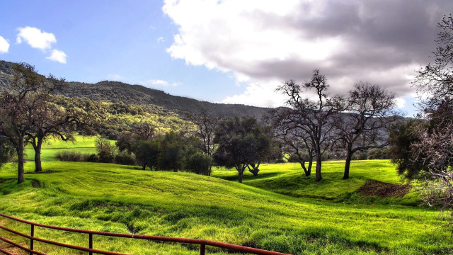 Lush green hillside wooden fence free wallpaper for desktop - medium preview image