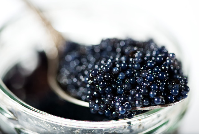 Spoon full blackberries jar table free wallpaper for desktop - medium preview image