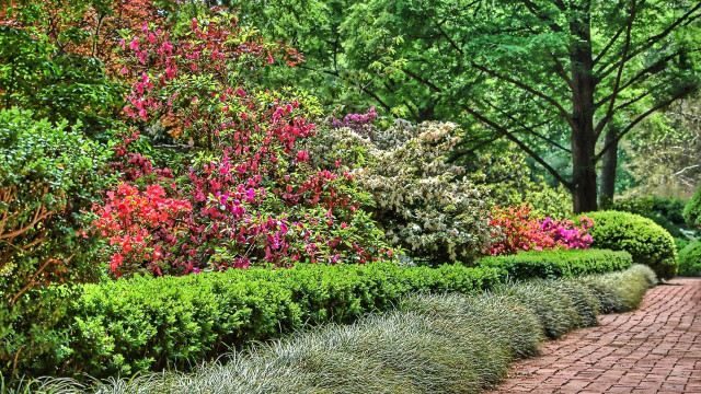 Brick path bushes flowers park free wallpaper for desktop - medium preview image