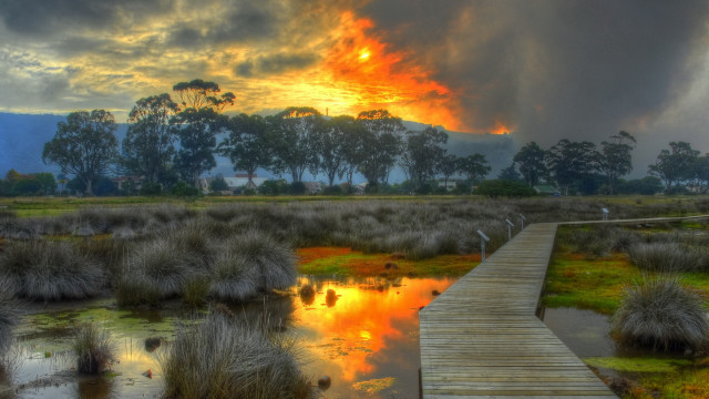 Wooden walkway marshy landscape autumn free wallpaper for desktop - medium preview image