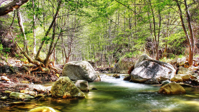 Forest stream rocks autumn environmental free wallpaper for desktop - medium preview image