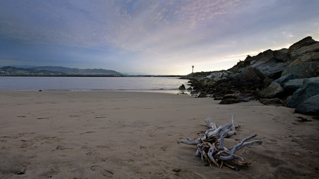 Driftwood beach dusk cloudy sky free wallpaper for desktop - medium preview image