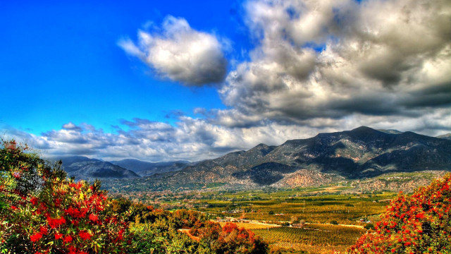 Scenic valley mountains clouds redflowers free wallpaper for desktop - medium preview image