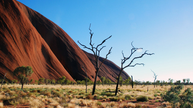 Barren tree desert rocks blue free wallpaper for desktop - medium preview image