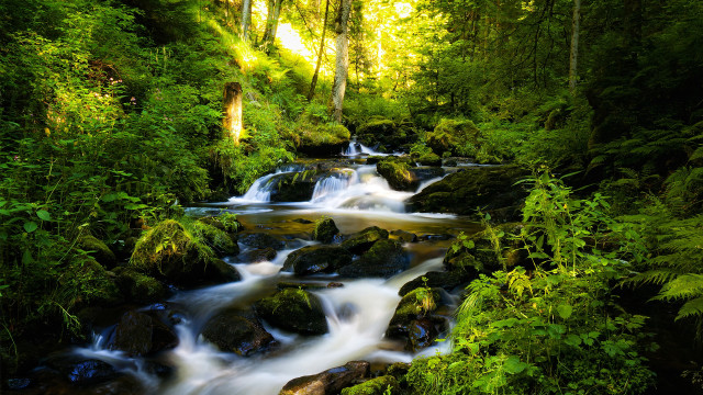 Lush green forest stream waterfall #5 free wallpaper for desktop - medium preview image