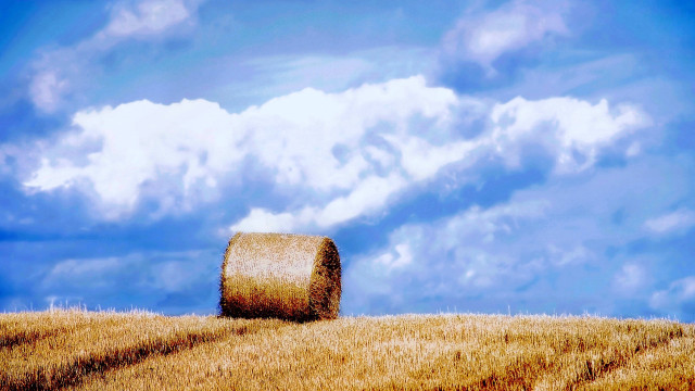 Hay bale field blue sky #3 free wallpaper for desktop - medium preview image