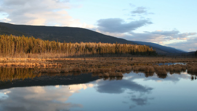 Lake forest sky clouds distant free wallpaper for desktop - medium preview image