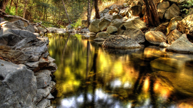 Forest river rocks reflection impressionist free wallpaper for desktop - medium preview image