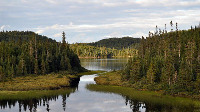 River forest boat cloudy landscape free wallpaper for desktop - medium preview image