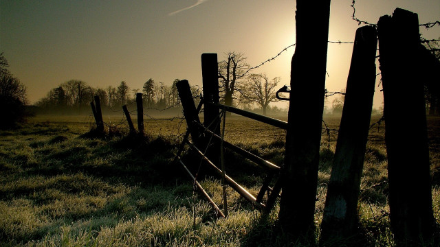 Fence foggy sunset nature forest free wallpaper for desktop - medium preview image
