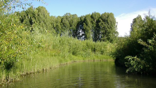 River trees boat nature sky free wallpaper for desktop - medium preview image