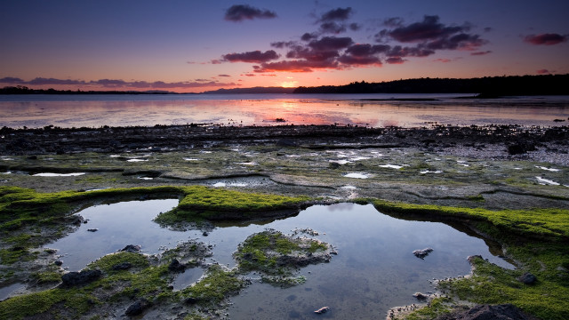 Sunset water rocks algae horizon free wallpaper for desktop - medium preview image