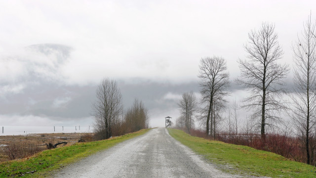 Road trees cloudy sky lighthouse free wallpaper for desktop - medium preview image