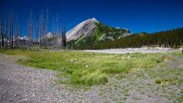 Grassy field mountains road trees free wallpaper for desktop - medium preview image