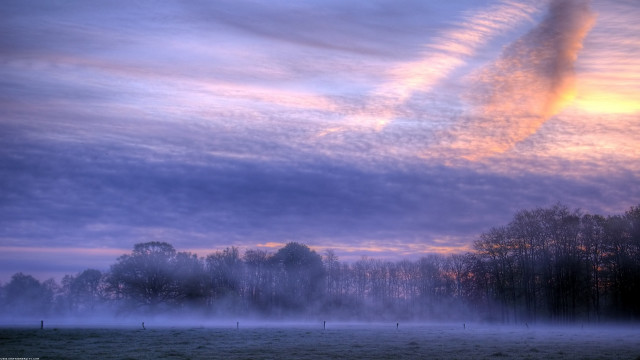 Foggy field trees clouds pink free wallpaper for desktop - medium preview image