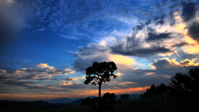 Silhouetted tree cloudy sunset mountains free wallpaper for desktop - medium preview image