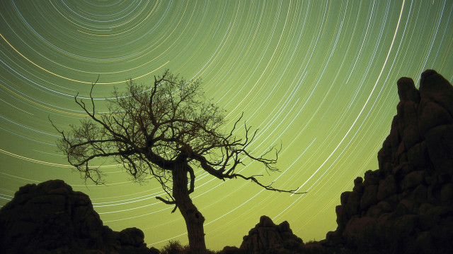 Tree startrail rockformation foreground silhouette free wallpaper for desktop - medium preview image