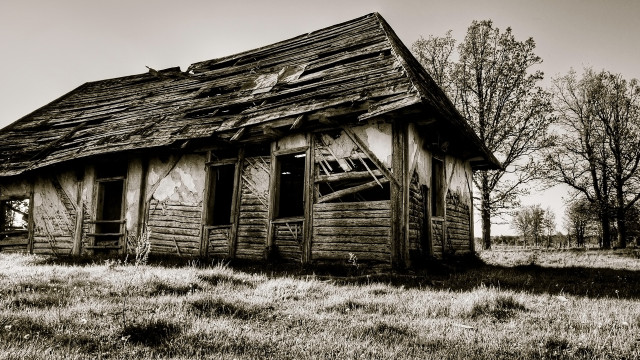 Decay brokenbuilding forest barebranch shrine free wallpaper for desktop - medium preview image