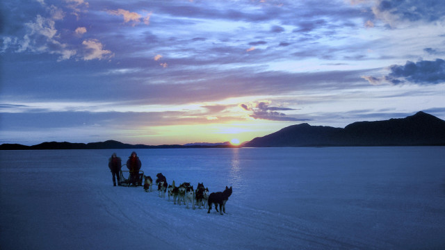 Horses riding snowfield sunset mountains free wallpaper for desktop - medium preview image