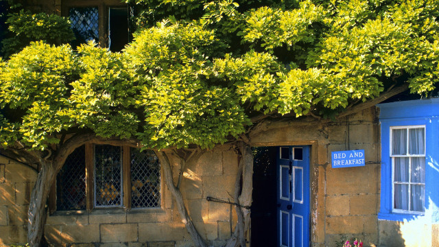 Blue door vines puzzle sunset free wallpaper for desktop - medium preview image