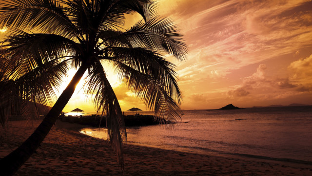 Palm tree beach sunset island #5 free wallpaper for desktop - medium preview image