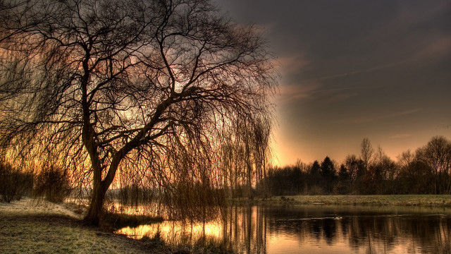 Tree lake sunset landscape impressionist free wallpaper for desktop - medium preview image