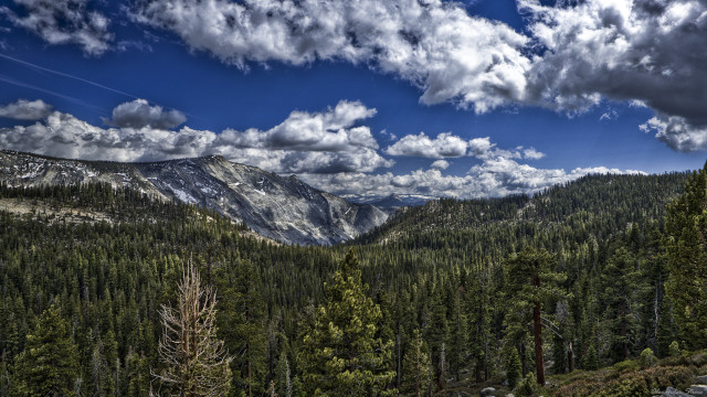 Mountain forest clouds sky horizon free wallpaper for desktop - medium preview image