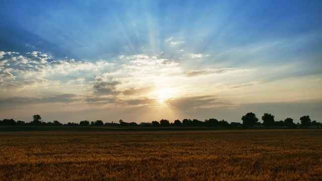 Sunlit clouds over grassy field free wallpaper for desktop - medium preview image