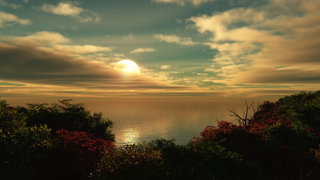 Sunset ocean clouds foreground trees free wallpaper for desktop - medium preview image
