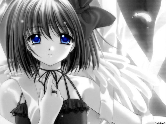 Girl blueeyes hat angel wings free wallpaper for desktop - medium preview image