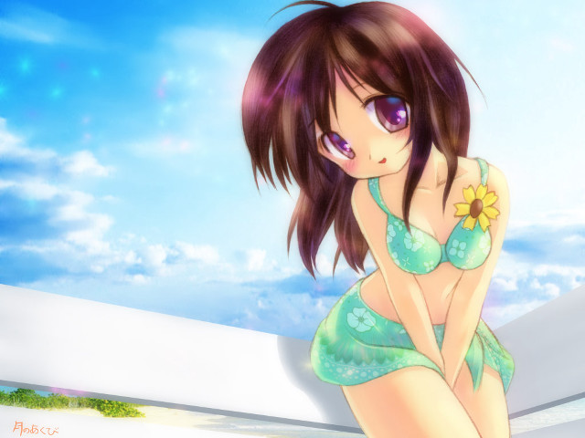 Woman bikini flower sky sunflowers free wallpaper for desktop - medium preview image