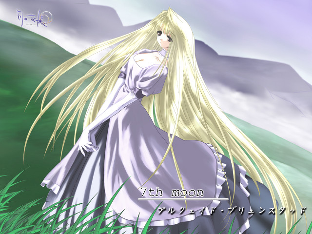 Woman blonde hair field moon free wallpaper for desktop - medium preview image