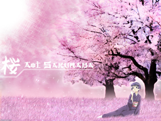 Woman tree flower pink sakura free wallpaper for desktop - medium preview image