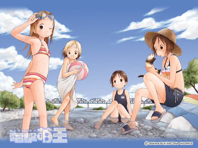 Beach girls bikini sky ocean free wallpaper for desktop - medium preview image
