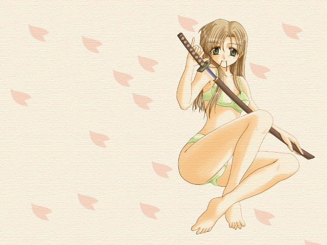 Woman bikini sword bird pink free wallpaper for desktop - medium preview image
