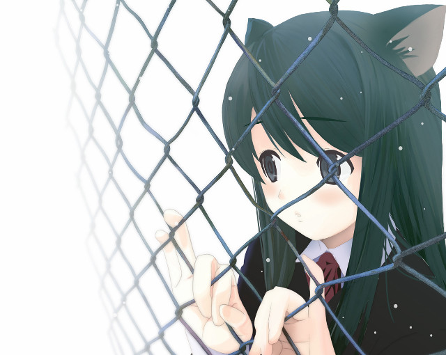 Chizuko yoshida girl fence cat free wallpaper for desktop - medium preview image