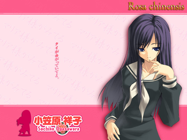 Woman purplehair blackdress pinkbackground sailoruniform free wallpaper for desktop - medium preview image