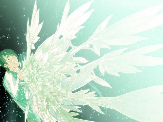 Angel green eyes holding flower free wallpaper for desktop - medium preview image