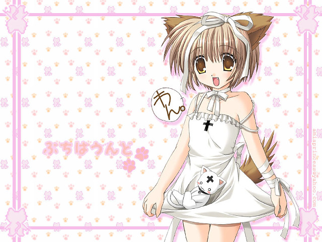 Anime girl cat shoulder floral free wallpaper for desktop - medium preview image