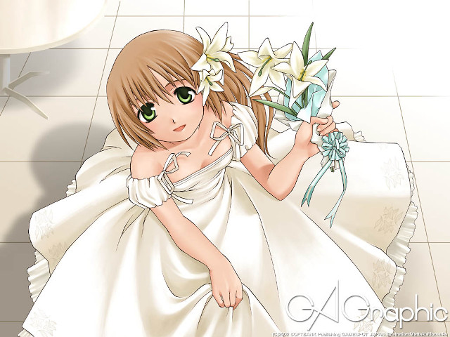 Girl wedding dress flowers bathroom free wallpaper for desktop - medium preview image
