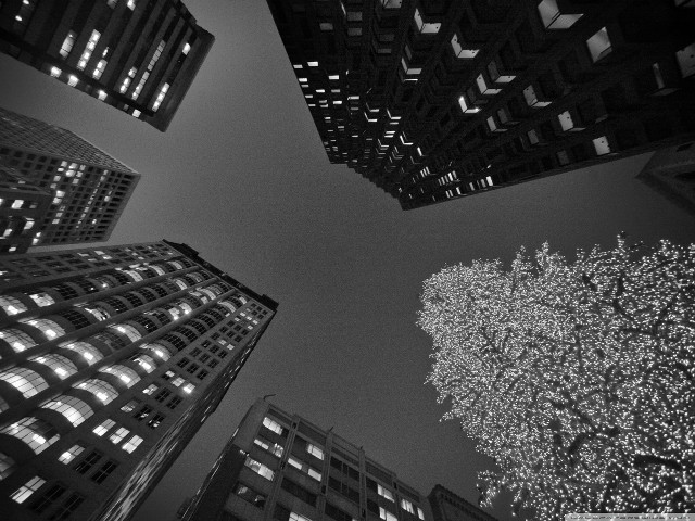 Black white city night lights #3 free wallpaper for desktop - medium preview image
