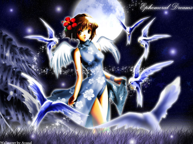 Moonlight birds anime astronaut flowers free wallpaper for desktop - medium preview image