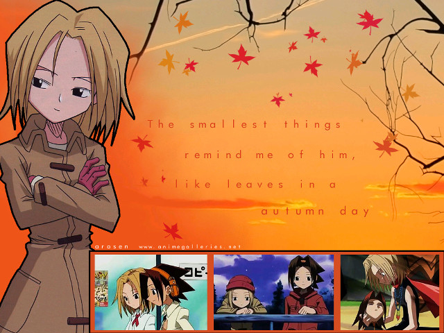 Autumn leaves girl crossed arms free wallpaper for desktop - medium preview image