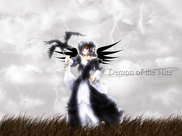 Woman dress bird field storm free wallpaper for desktop - medium preview image