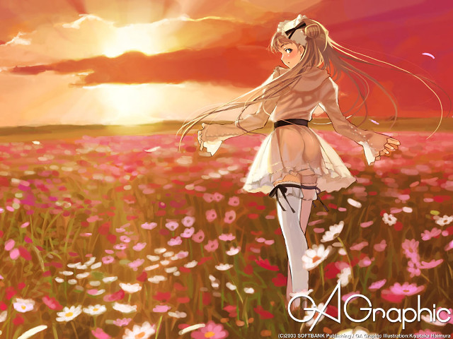 Girl flower field sunset clouds free wallpaper for desktop - medium preview image