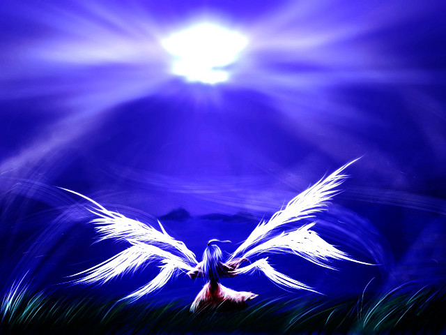 Bird wings flying blue sky free wallpaper for desktop - medium preview image