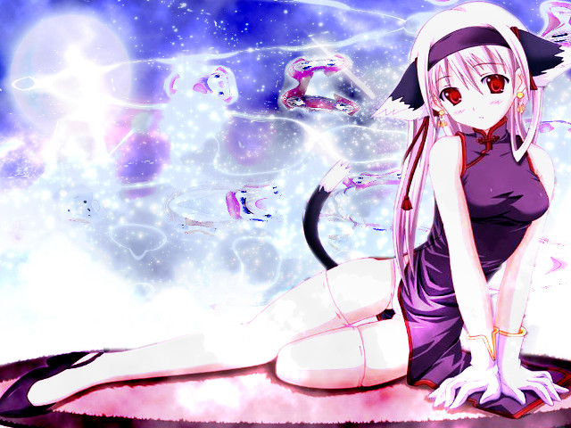 Girl cat starry sky chinese free wallpaper for desktop - medium preview image