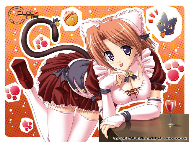 Girl cat dress wine anime free wallpaper for desktop - medium preview image