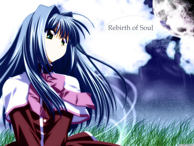 Girl long hair grass moon free wallpaper for desktop - medium preview image