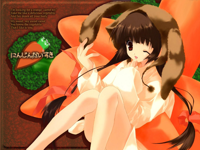 Woman cat bow longhair dogears free wallpaper for desktop - medium preview image